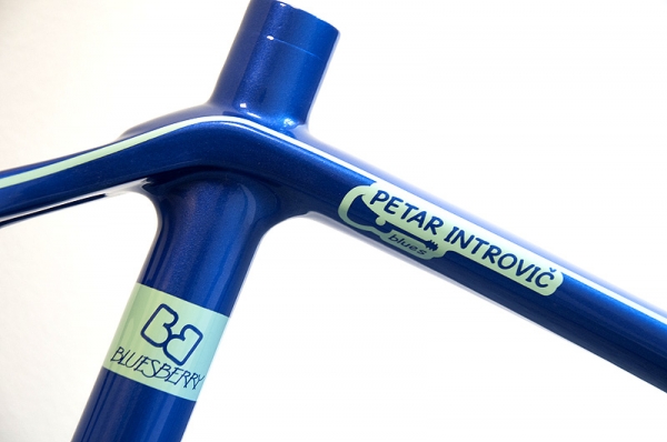 Redesign Bianchi Petara Introviče